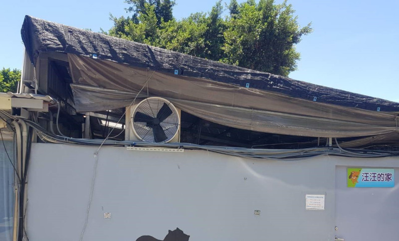 新北動物之家犬舍屋頂鋪蓋蘭花網及裝設自動負壓風扇。    圖：新北市動保處提供