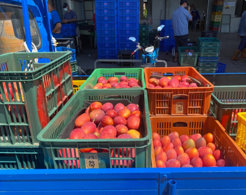 由於Delta病毒入侵屏東，日前傳出枋山芒果銷量受到影響，農委會表示，當地芒果已賣光。   圖 : 翻攝自周春米立委臉書(資料照)