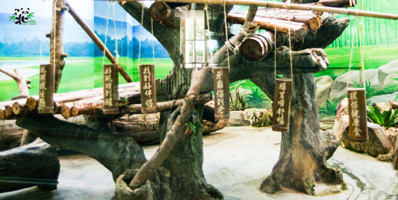 園方為圓仔打造的6個生日願望。   圖：台北市立動物園／提供