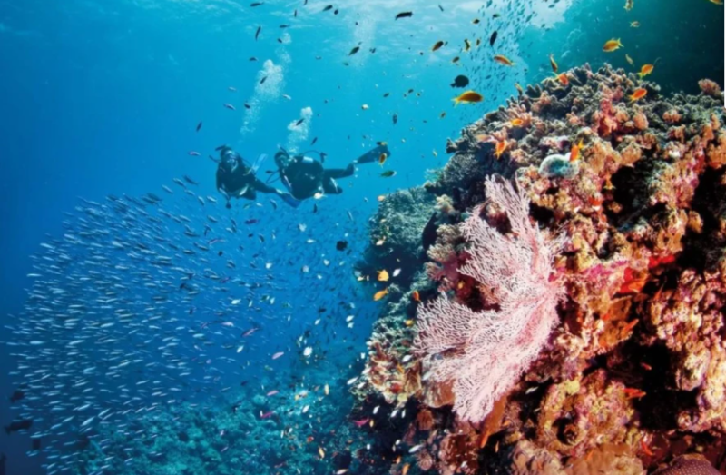 澳洲大堡礁是旅遊勝地，但目前面臨白化危機。   圖 : 翻攝自騰訊網