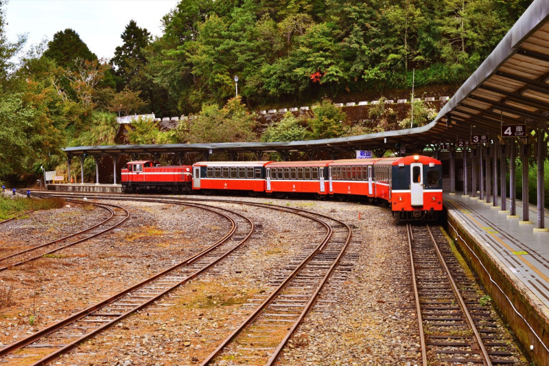 林務局宣布阿里山鐵路將開放。   圖：取自台灣山林悠遊網／嘉義縣林管處提供