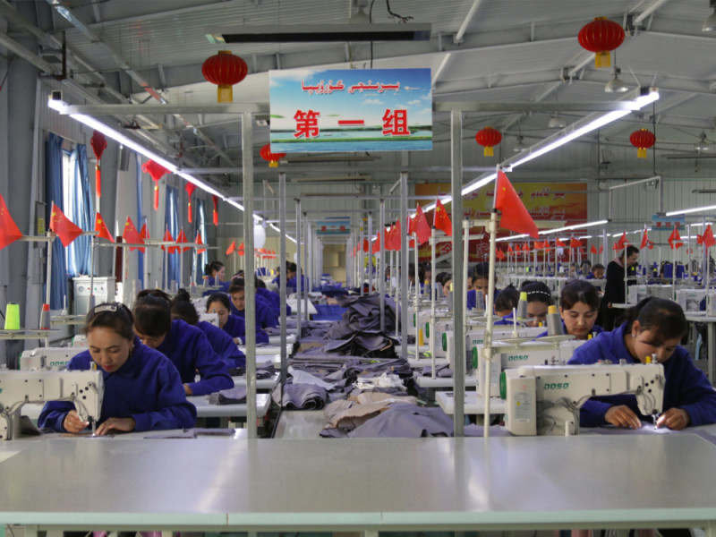 日本紡織業將制定方針來防止違反人權的棉花進口。   圖：新疆棉花廠  翻攝自End Uyghur Forced Labour網站