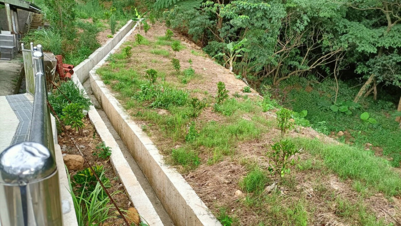 三芝動物之家新施作的排水溝，增加洩水速度。    圖：新北市動保處提供
