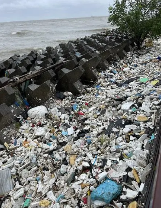 烟花颱風帶來的潮水稍退後，江中大量垃圾被沖上親水平台的堤岸。   圖：翻攝自騰訊網