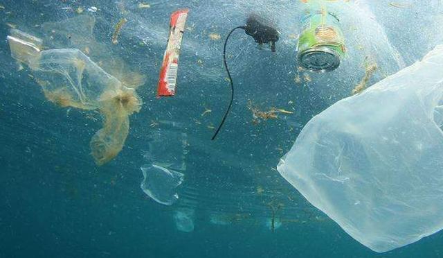 海洋塑膠垃圾已危害人類健康。   圖：翻攝陸網「本質兒童公益官方賬號」