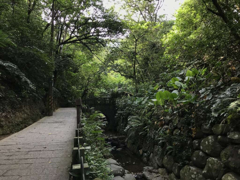 生態工法整治的虎山溪，砌石河床提供魚蝦自然的生存繁衍空間。   圖：台北大地處／提供