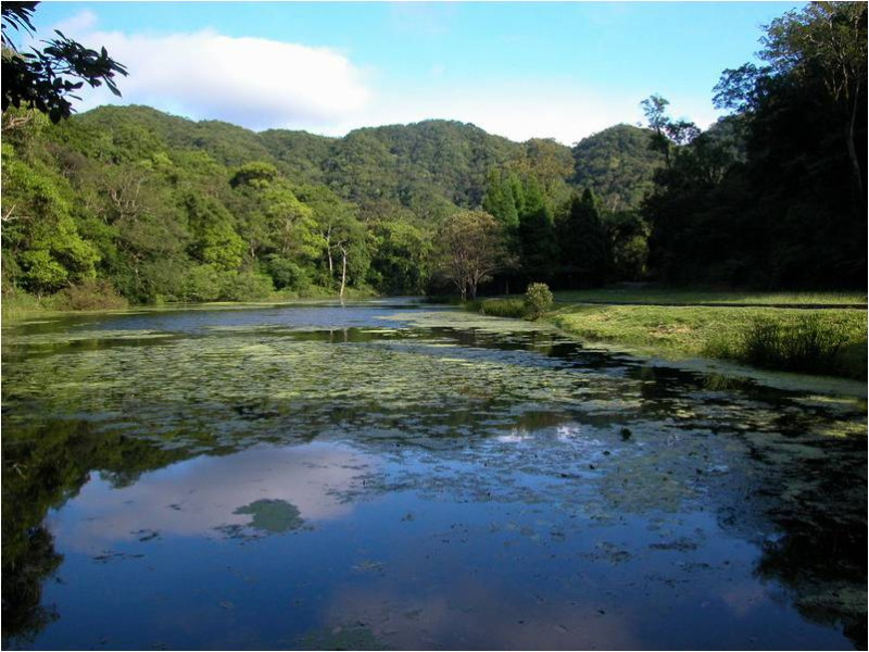 原核准明後天到訪福山植物園者，因氣候影響可延後入園。   圖：取自福山植物園官網