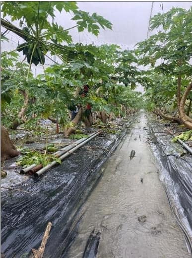 經過2天的豪雨已讓各地農損已經突破1.8億萬元！   圖：翻攝自陳吉仲臉書