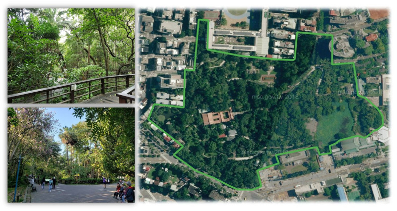 台北植物園擁有高比例的多層次茂密森林覆蓋，園區中PM2.5濃度能較周邊減少約21%。   圖：林業試驗所提供