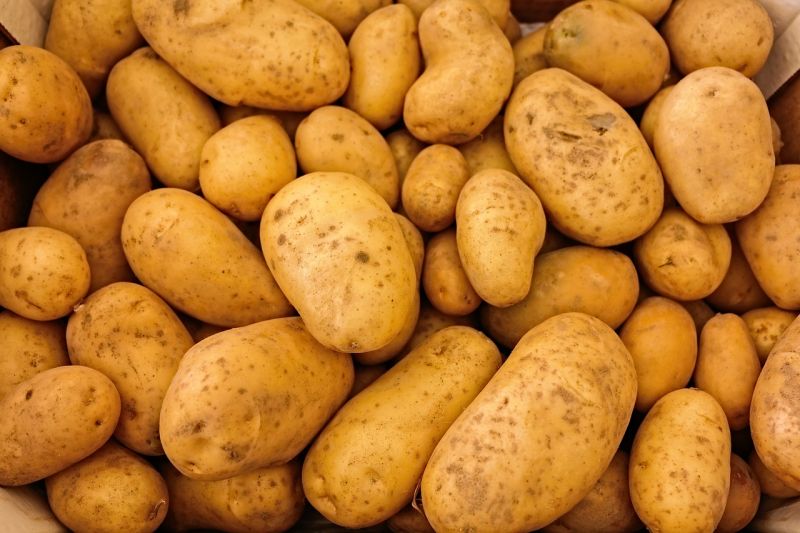 馬鈴薯買不到一星期發芽？農委會曝光最佳解決辦法。   示意圖／翻攝自Pixbay
