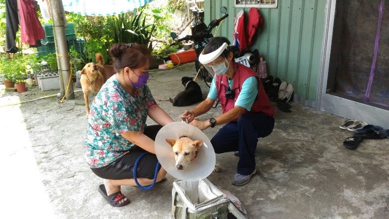 瑞芳動物之家駐區獸醫王嚴緒提供到府狂犬病疫苗注射服務，該有的面罩、口罩、酒精等防護措施是不可少的。    圖：新北市動保處提供