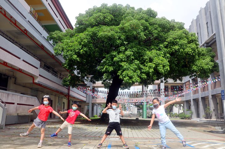 高壽148歲的「曹公巨樹」。   圖：高市教育局提供
