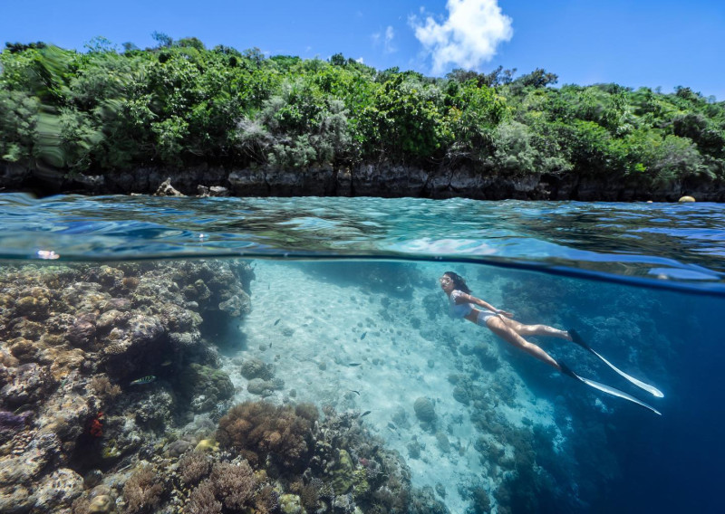 帛琉是台灣人喜愛旅遊的地方。   圖：翻攝自帛琉觀光局 Pristine Paradise Palau臉書