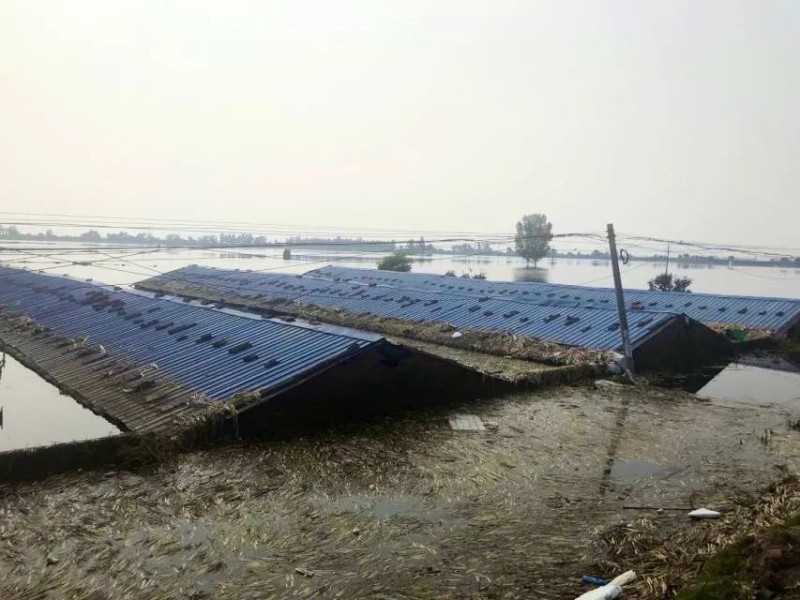 傅莊村河堤南側滯洪區。   圖：翻攝自騰訊網