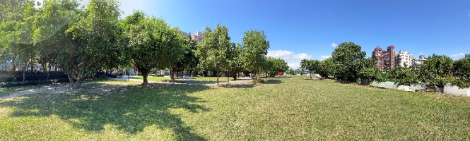 壽德公園內施作並美化原有公園樣貌且不破壞生態。   圖：新北市水利局提供