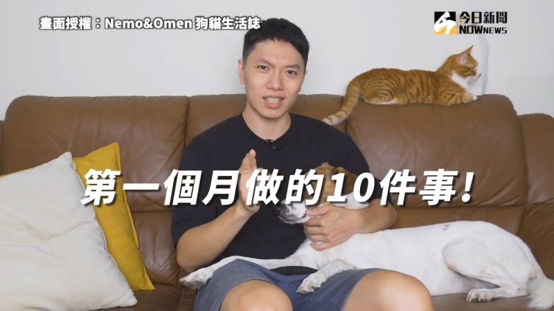 YouTub頻道「Nemo&Omen 狗貓生活誌」分享養貓第一個月做的10件事。   圖／Nemo&Omen 狗貓生活誌 授權