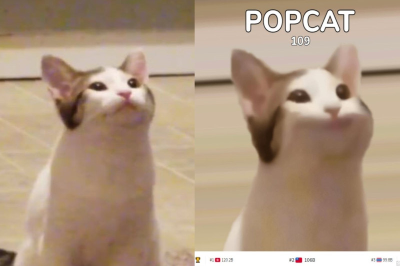 風靡全球的小遊戲「POPCAT」其實是出自於奴才的惡搞之作！   圖：翻攝自twitter帳號XavierBFB