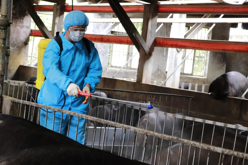 動保處人員進行養豬場訪視。   圖：新北市動保處提供