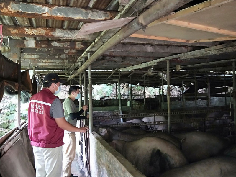 動保處進行養豬場訪視。   圖：新北市動保處提供