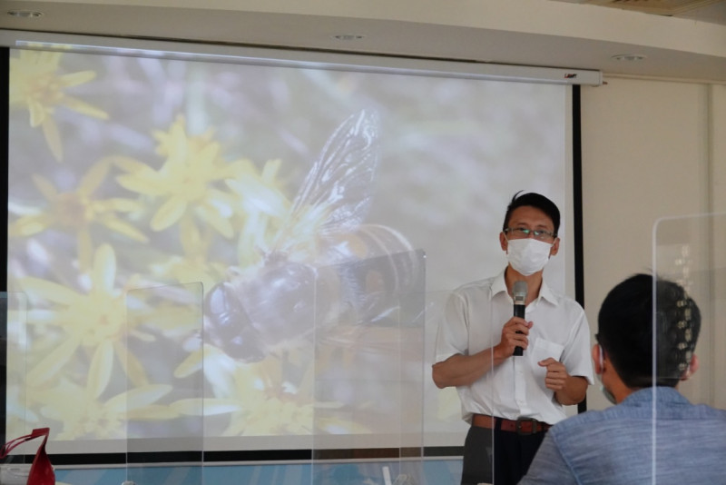 蔡明憲老師說明如何預防虎頭蜂叮咬，並在受到攻擊後如何處理。       圖：新北市動保處提供