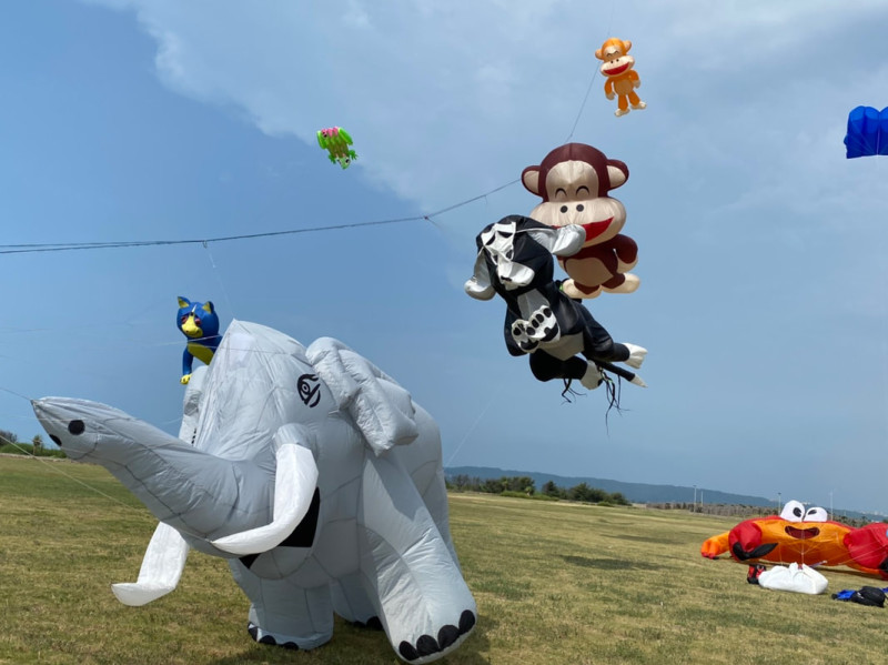 各式動物風箏。   圖：取自新竹國際風箏節官網