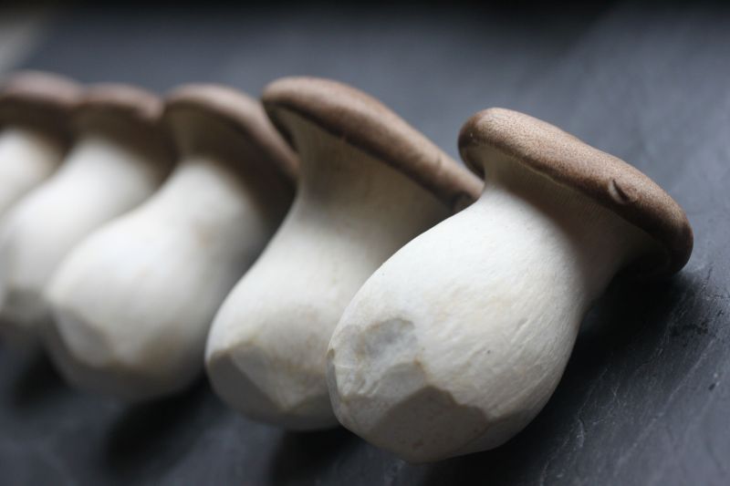 杏鮑菇是一種常見的菌類美食，不僅味道鮮美，營養也相當豐富。   示意圖／取自pixabay