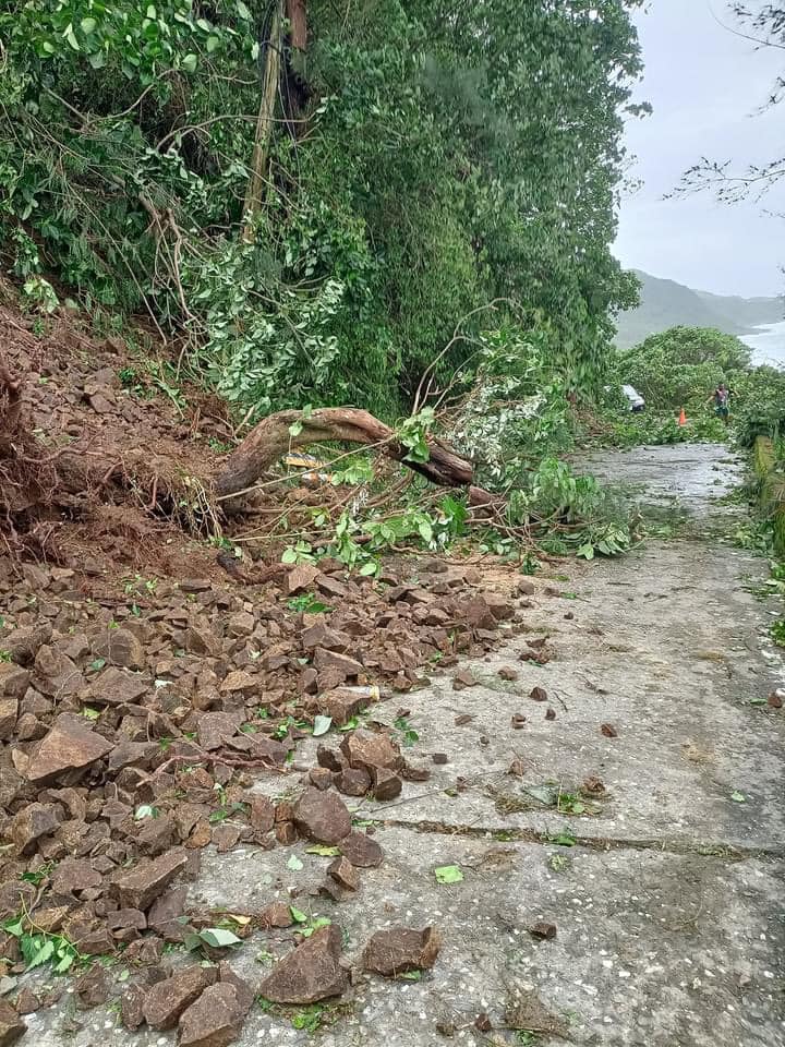 璨樹颱風襲台，蘭嶼昨(11)日晚間風雨交加又停電，已造成部分樹木倒塌與積水。   圖：翻攝自蘭嶼鄉公所臉書