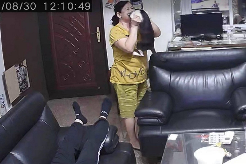 網友從監視器看見討厭養寵物的阿嬤竟然在吸貓！   圖／網友張家溱授權提供