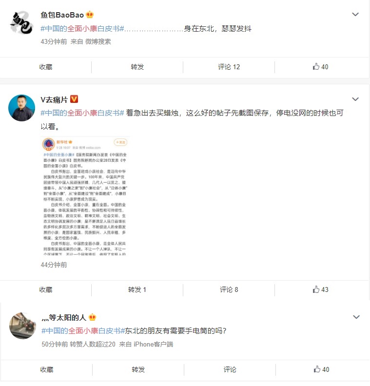 中國網友紛紛吐槽全面小康白皮書。   圖:翻攝自微博