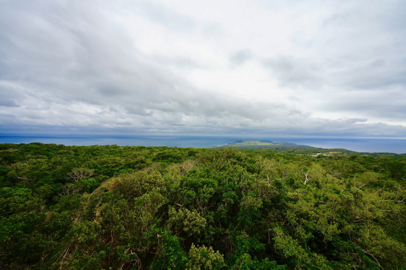 墾丁國家森林遊樂區觀海樓頂景色。   圖：林務局／提供