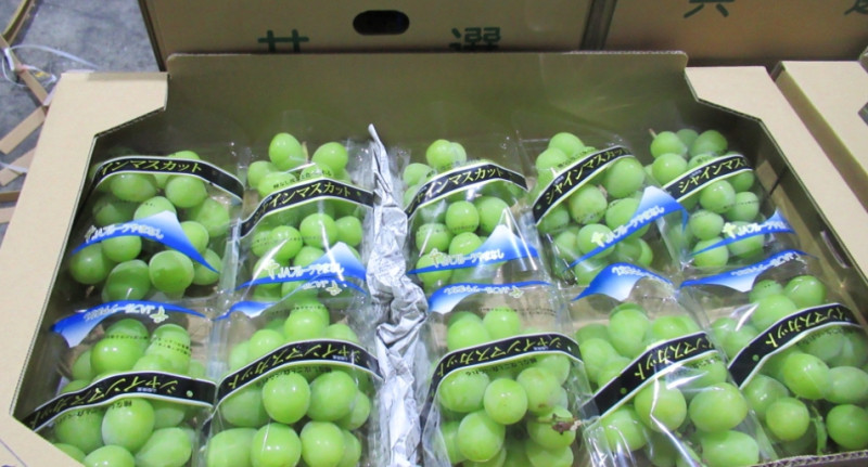 日本山梨葡萄驗出農藥殘留量超標。   圖：食藥署／提供