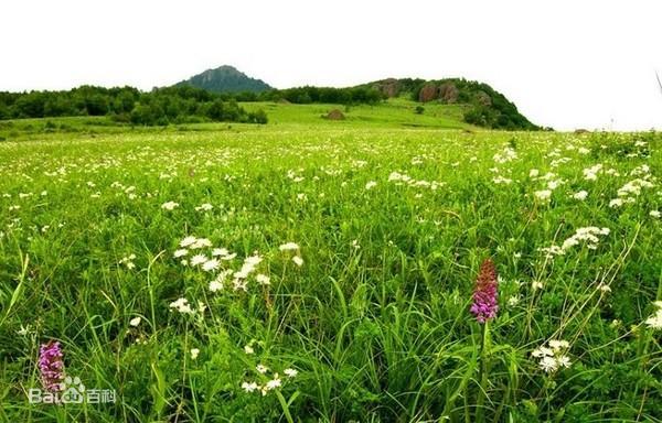 北京百花山國家級自然保護區地處北京西部。圖為未降雪之時。   圖：擷取自百度百科