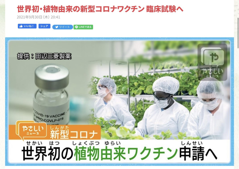 田邊三菱的疫苗是用植物為原料，成本低，生產速度又超快。   圖：翻攝自大阪電視