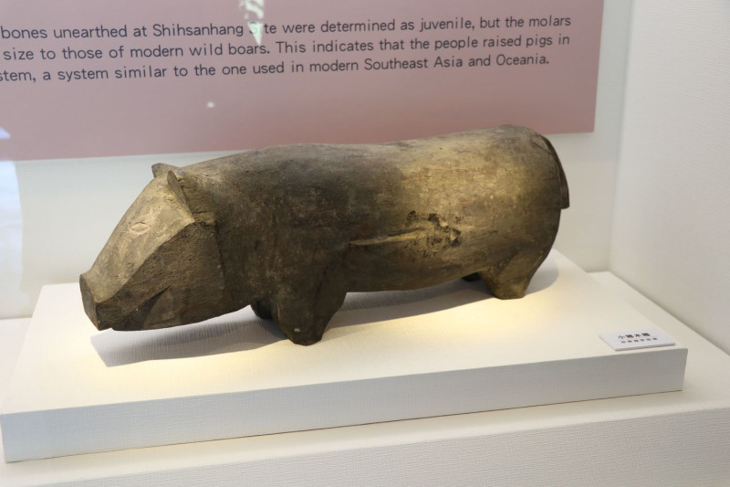婆羅洲伊班族的小豬木雕，質樸可愛。   圖：新北市立十三行博物館提供