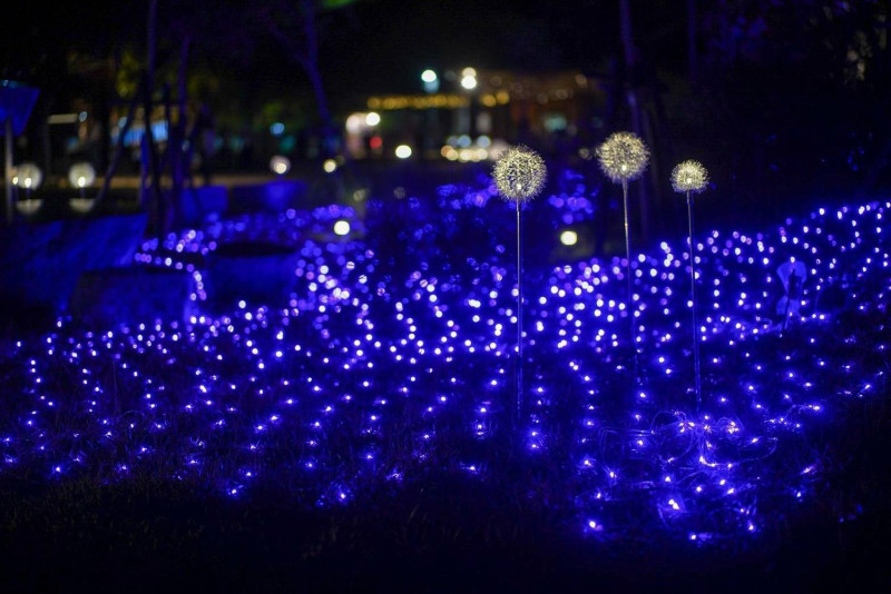 把光與影的美好留在中山溫泉公園。   圖：新北市城鄉局提供