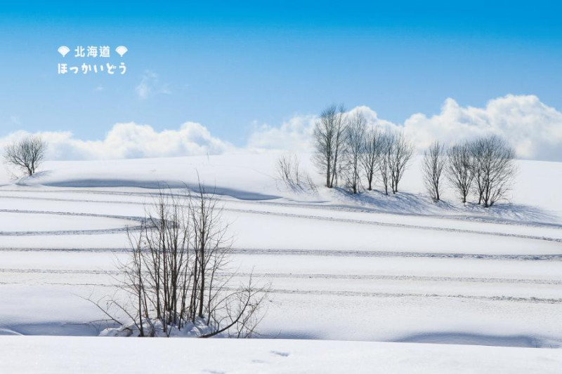 強烈冷空氣影響，日本北海道稚內市17日降下日本國內的初雪。   圖：翻攝日本旅遊網站