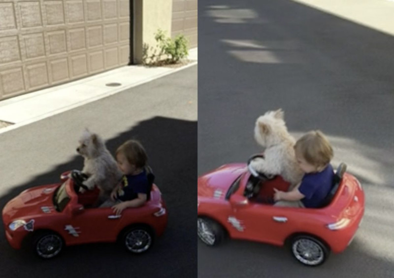小狗自駕小型電動汽車載小孩，讓飼主驚訝錄下影片。   圖：翻攝自美聯社/Jukin Media