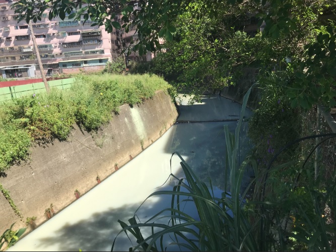 福德坑溪遭廢水污染呈白色混濁狀。   圖：新北市環保局提供