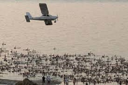 圖尼克租用小飛機拍攝1200進入死海場景。   圖 : 翻攝自KK News