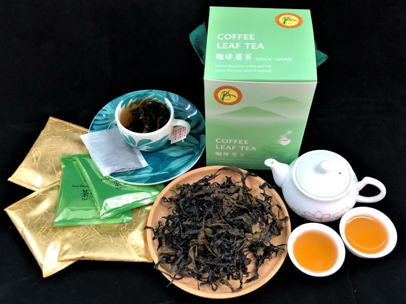 台農1號咖啡之葉片，可製成保健茶飲副產品。   圖：農試所／提供