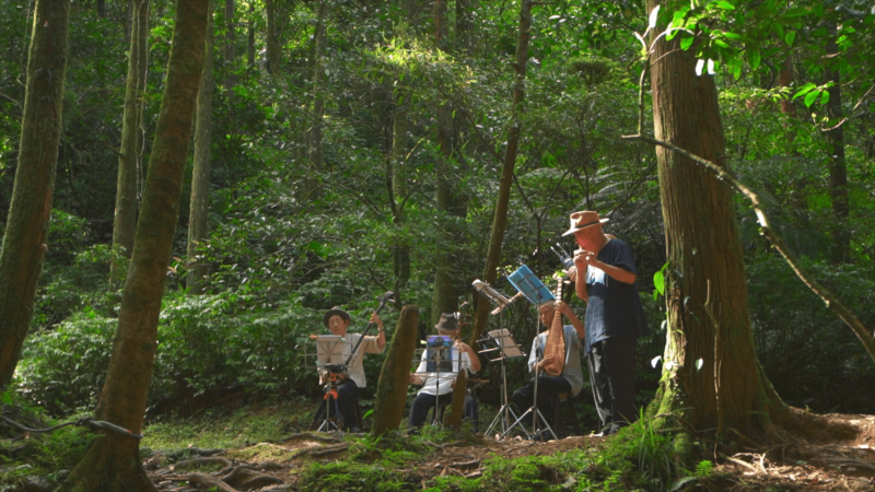 踏上淡蘭古道演奏古曲，透過音樂演繹出人與動植物的生命互動。   圖：新北市觀旅局提供