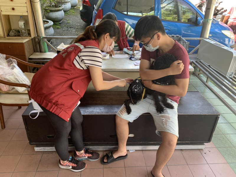 獸醫幫小黑狗注射狂犬病疫苗。 圖:新北市動保處提供