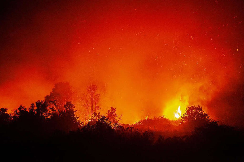 印尼2019年一年中就有面積相當於比利時一半的森林和其他土地被燒毀用於種植園，在全球森林砍伐目標中印尼扮演重要角色。   圖：翻攝自自綠色和平組織