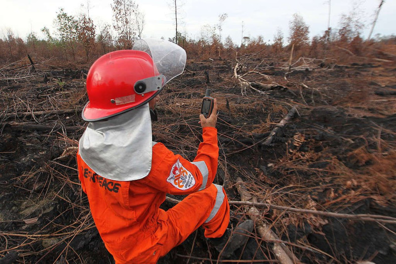 綠色和平組織人員幫忙撲滅印尼森林大火。   圖：翻攝自自綠色和平組織