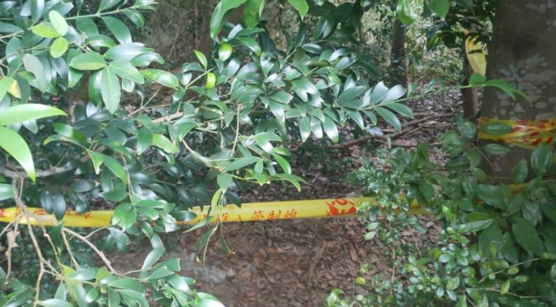▲苗栗竹南2歲男童疑遭不當管教致死。（圖／翻攝畫面）   