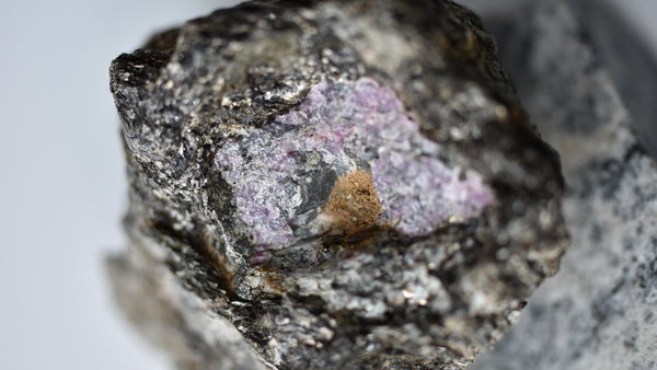 25億年前的紅寶石中，存有古代生命的痕跡。   圖: 翻攝自加拿大滑鐵盧大學官網