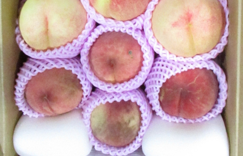 日本山形水蜜桃被驗出農藥殘留量超標。   圖：食藥署／提供