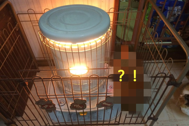 日本一名推主將暖爐圍起來，卻立刻遭到自家毛小孩破解。   圖：翻攝自twitter帳號yuyuyutititi