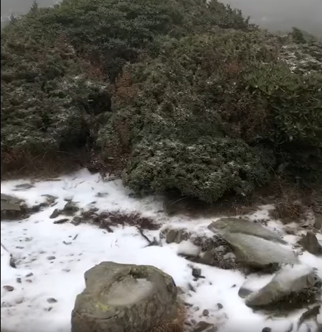 雪山在今日降下入冬初雪。   圖：擷取自臉書「雪霸國家公園登山資訊分享站」