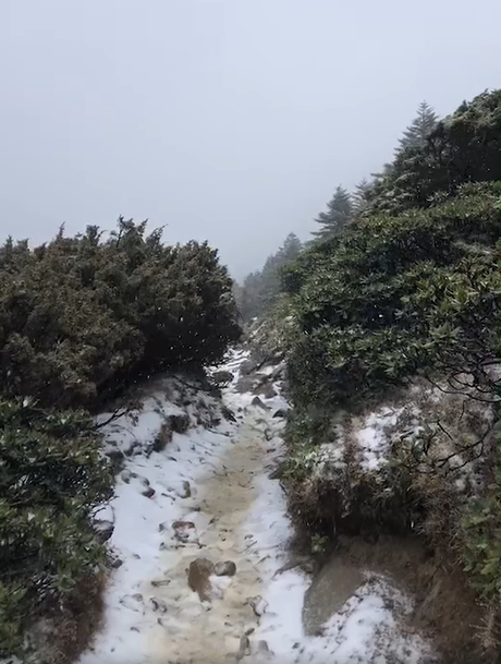 雪山主峰今日上午積雪約2-3公分   圖：擷取自臉書「雪霸國家公園登山資訊分享站」